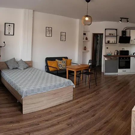 Apartment Free Parking No Stairs *